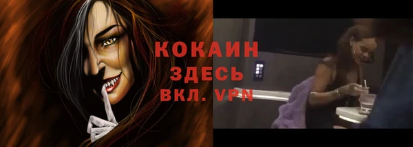 мдпв Протвино