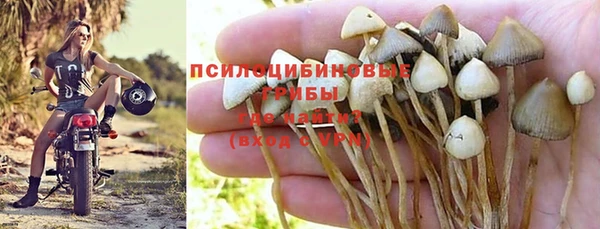 Альфа ПВП Абаза