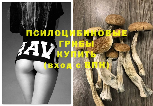 прущий лед Абдулино